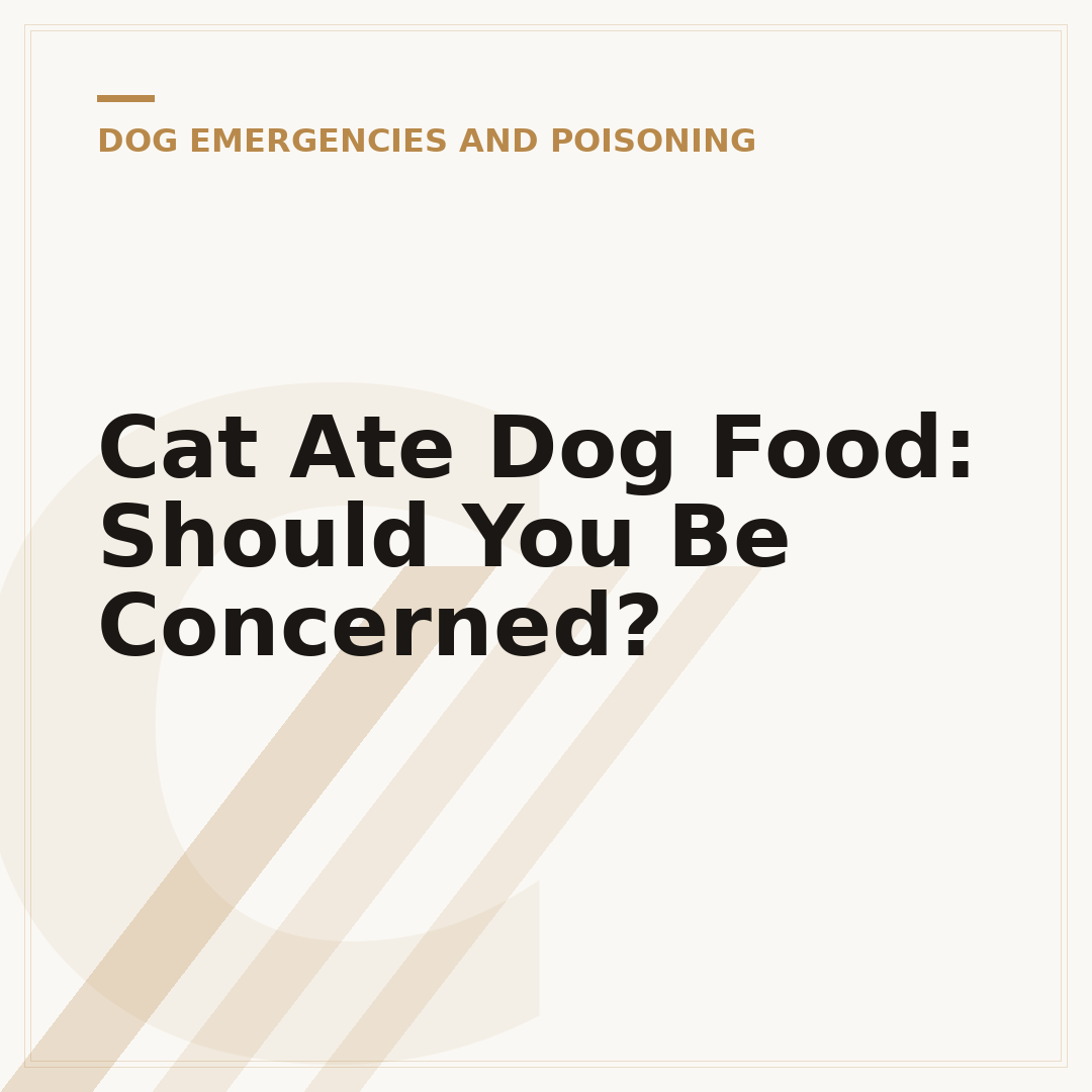 Cat Ate Dog Food: Should You Be Concerned?