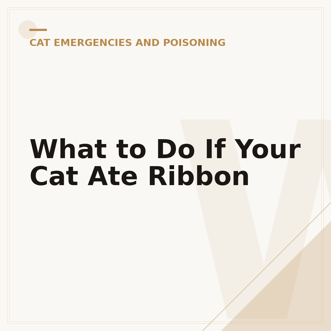 What to Do If Your Cat Ate Ribbon