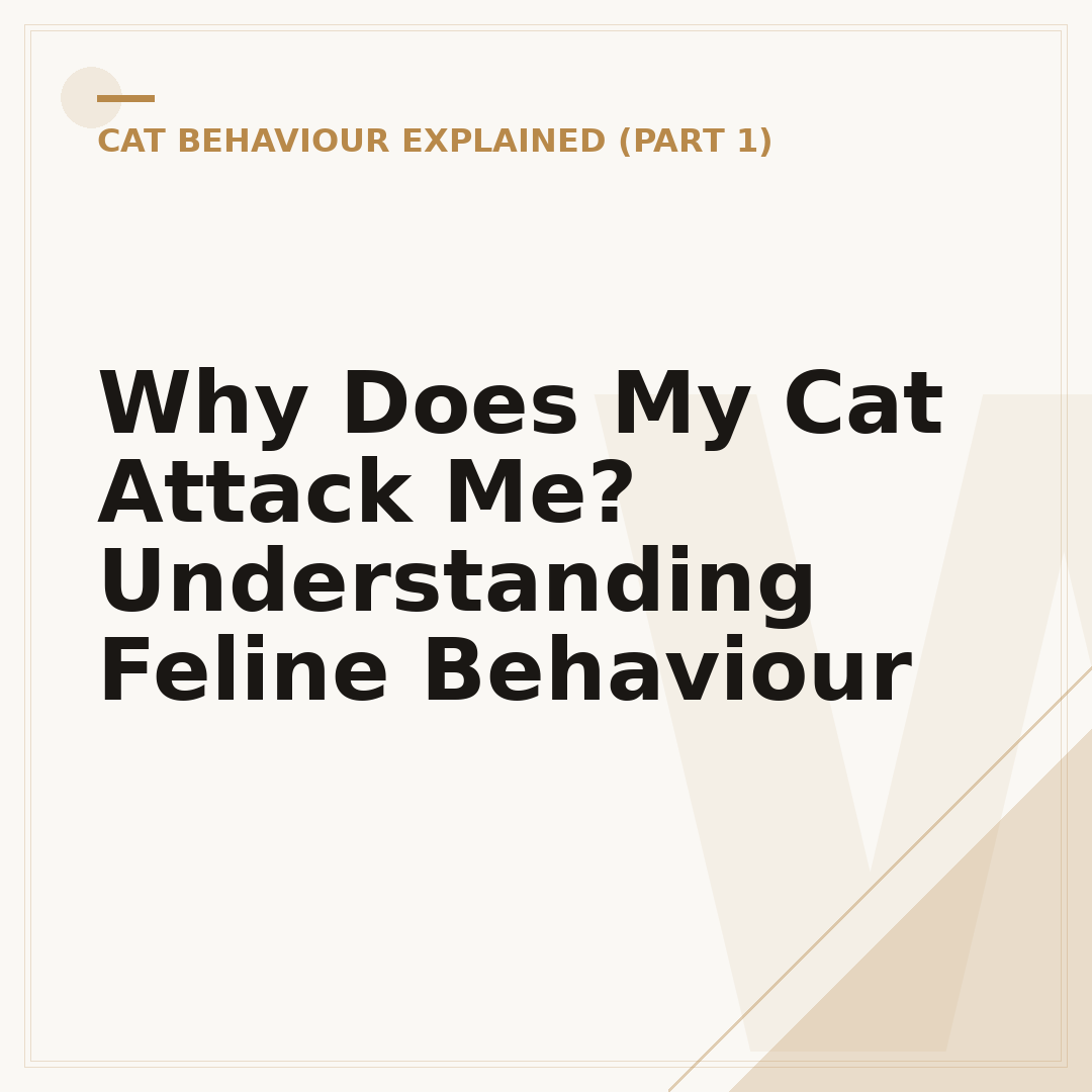 Why Does My Cat Attack Me? Understanding Feline Behaviour