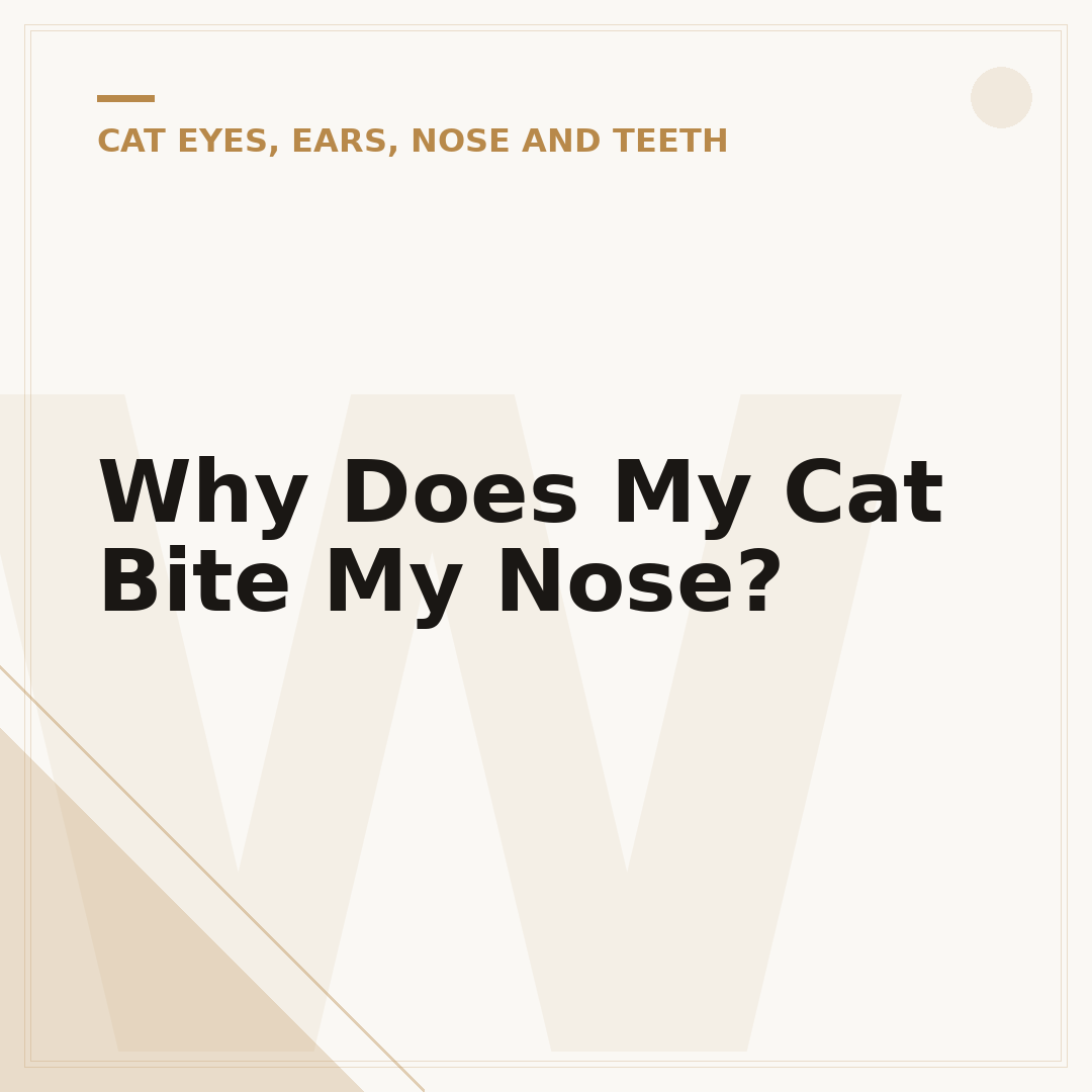 Why Does My Cat Bite My Nose?