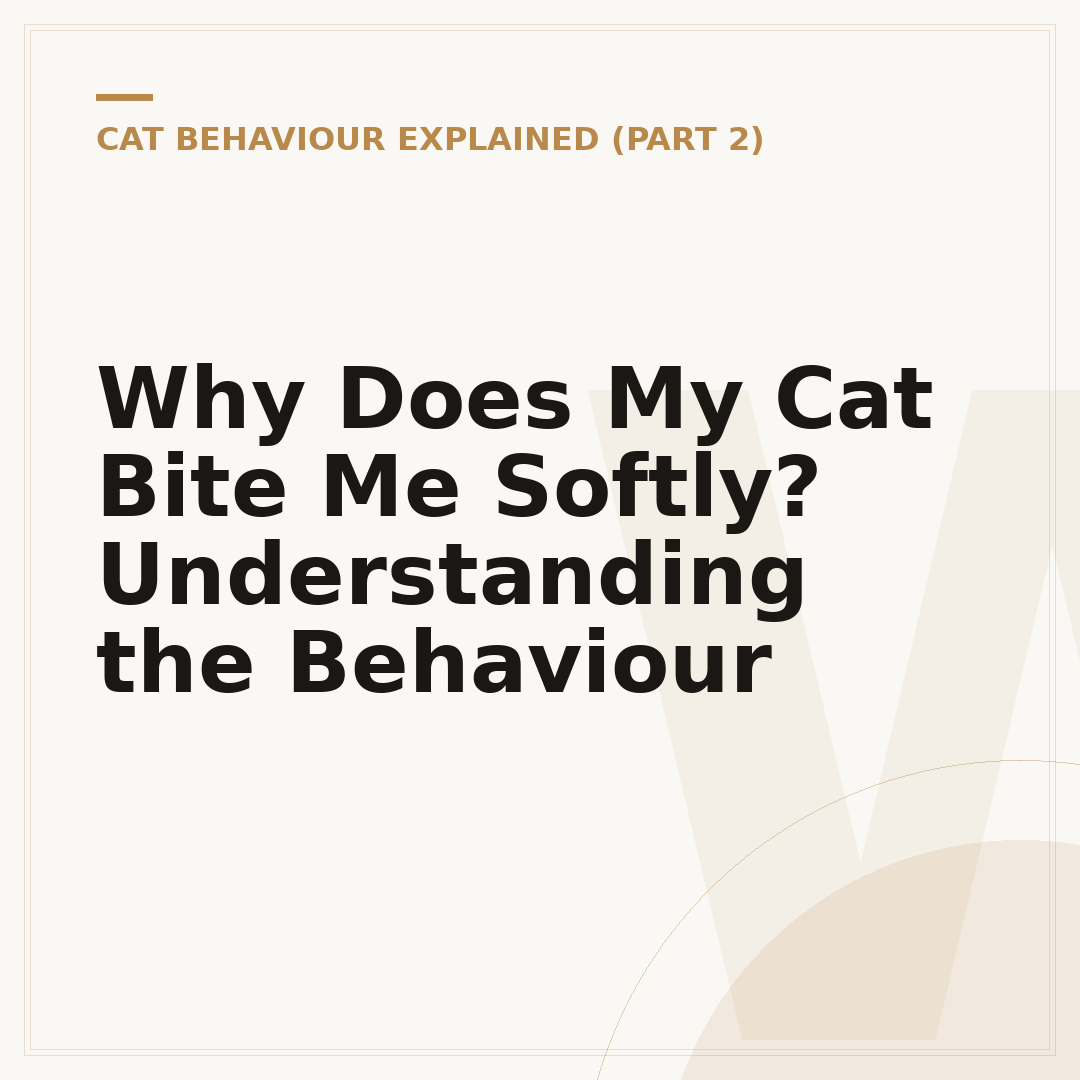 Why Does My Cat Bite Me Softly? Understanding the Behaviour