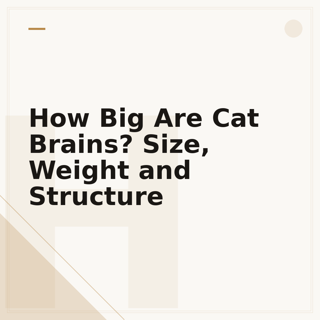 How Big Are Cat Brains? Size, Weight and Structure