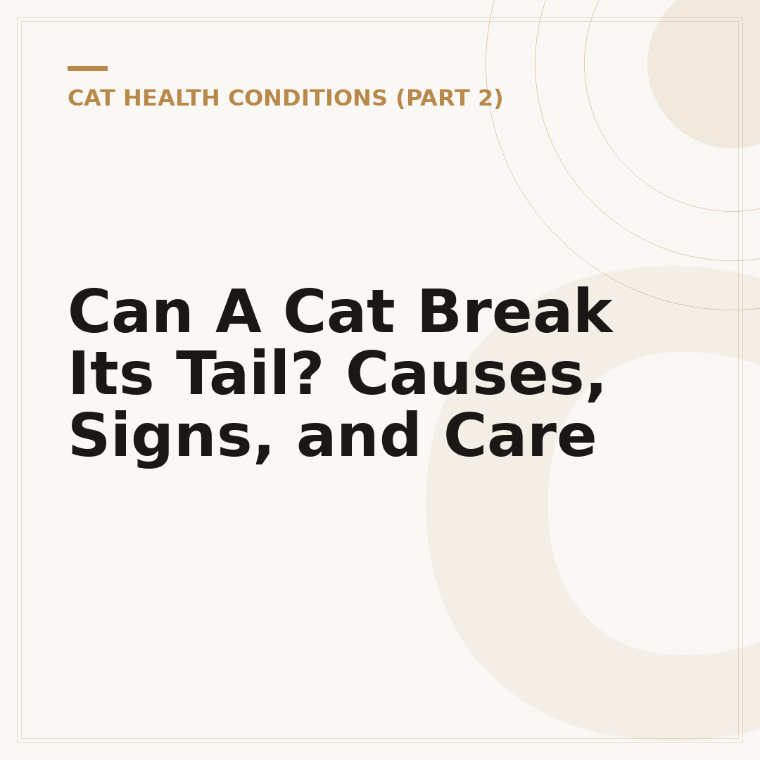 Can A Cat Break Its Tail? Causes, Signs, and Care