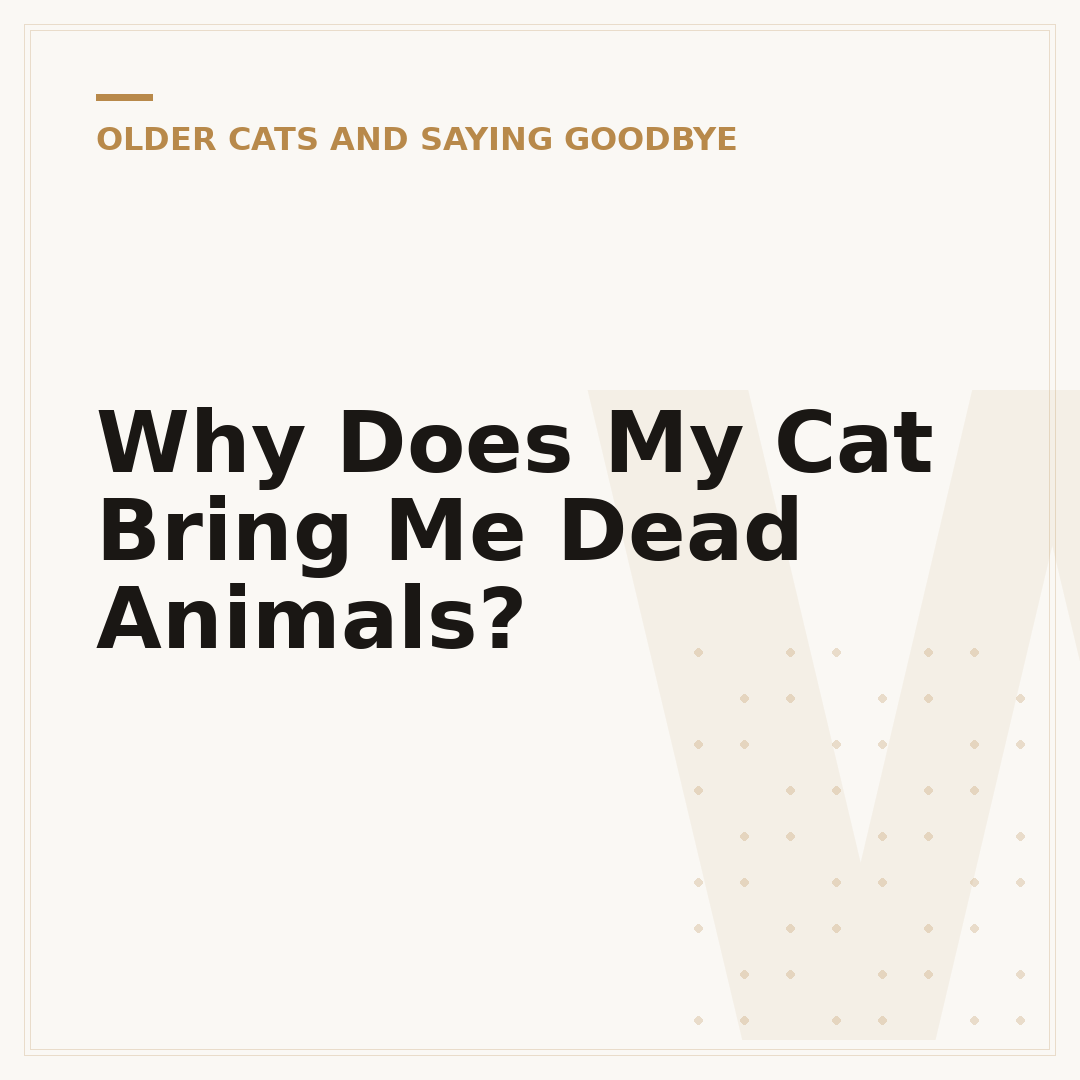 Why Does My Cat Bring Me Dead Animals?