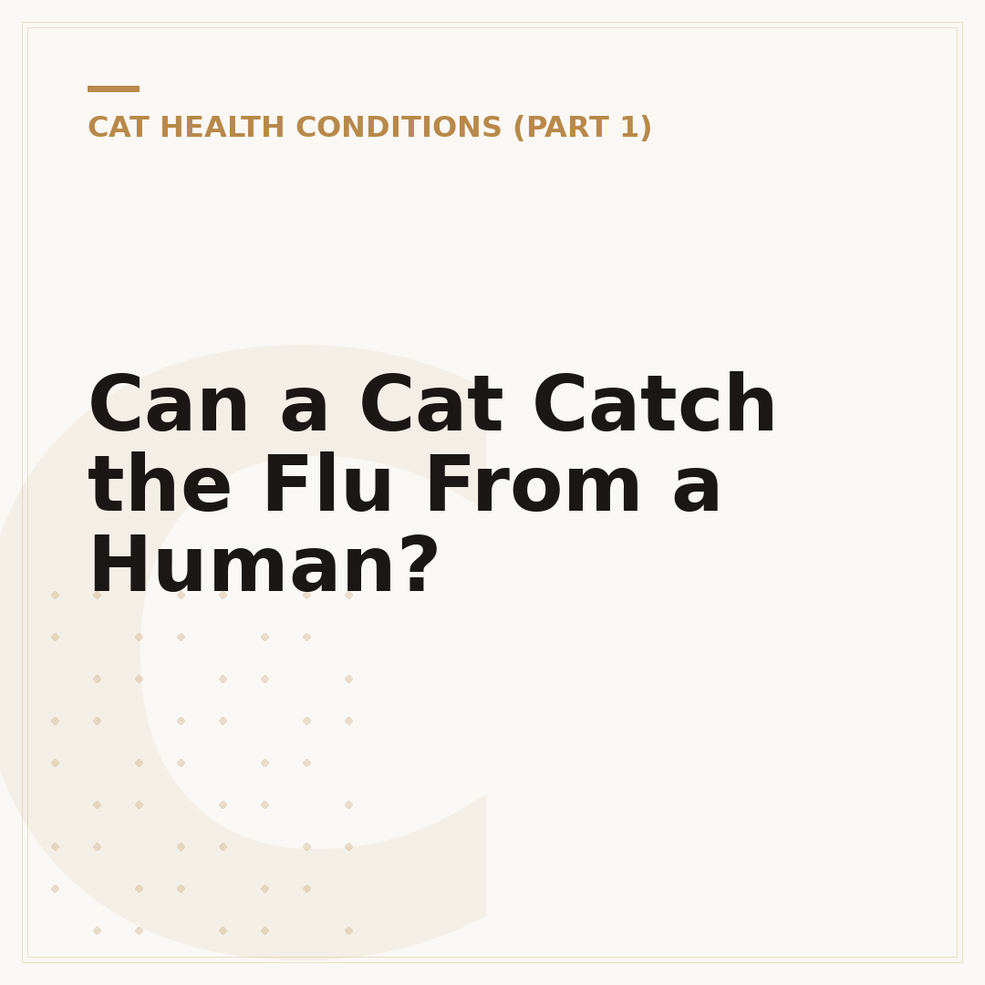 Can a Cat Catch the Flu From a Human?