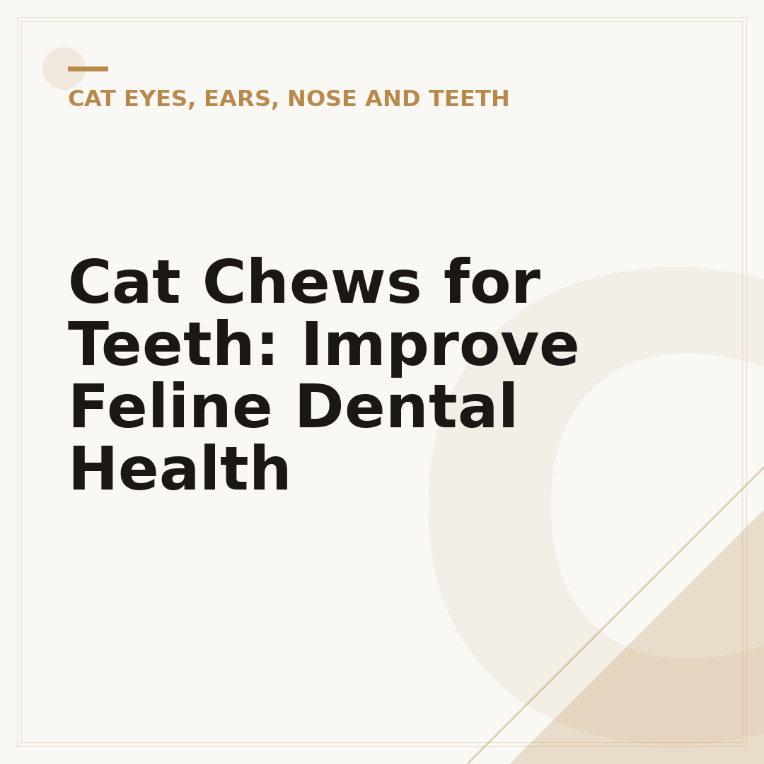 Cat Chews for Teeth: Improve Feline Dental Health