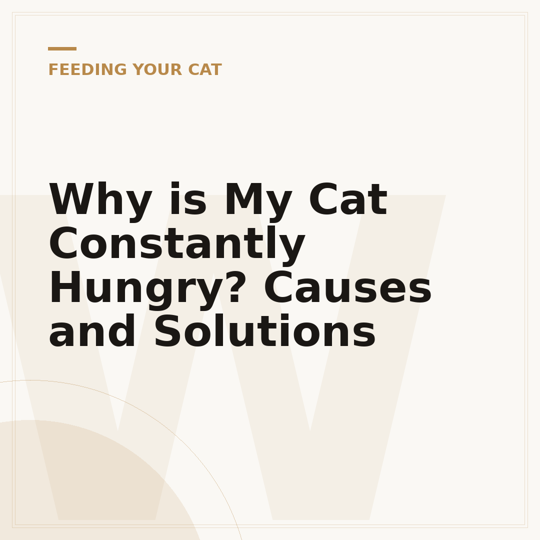 Why is My Cat Constantly Hungry? Causes and Solutions