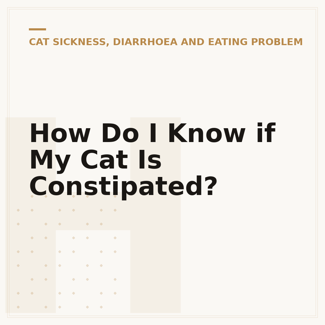 How Do I Know if My Cat Is Constipated?