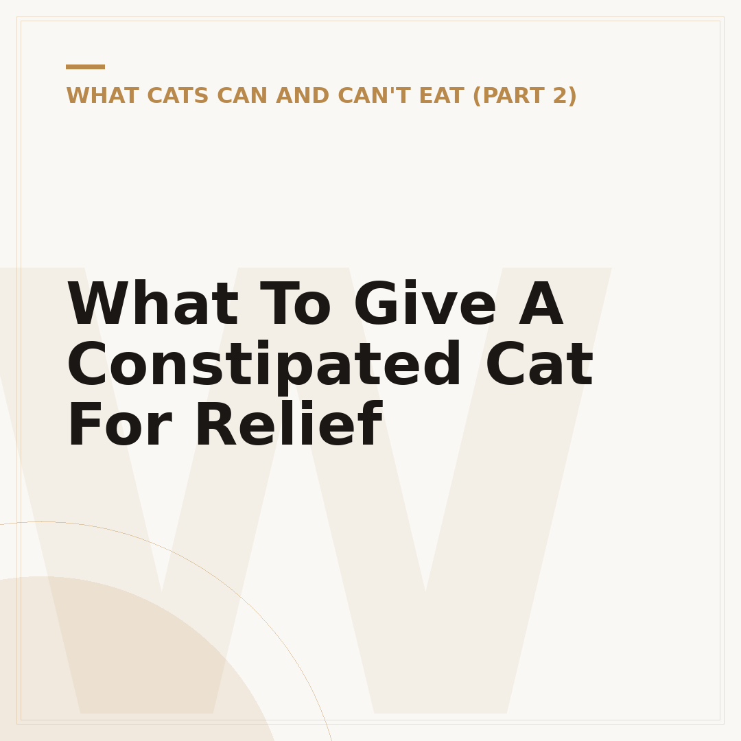 What To Give A Constipated Cat For Relief
