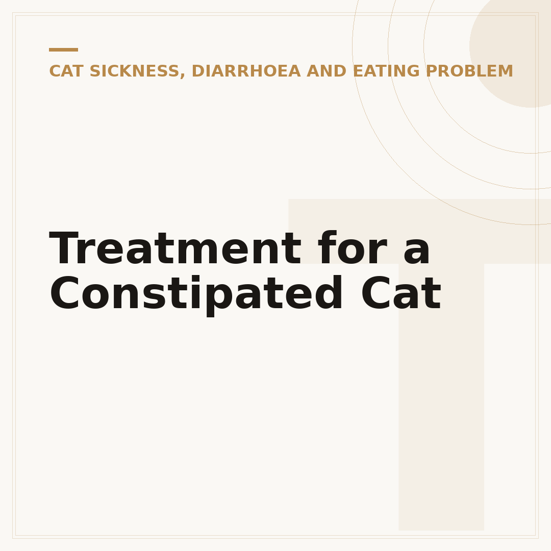 Treatment for a Constipated Cat