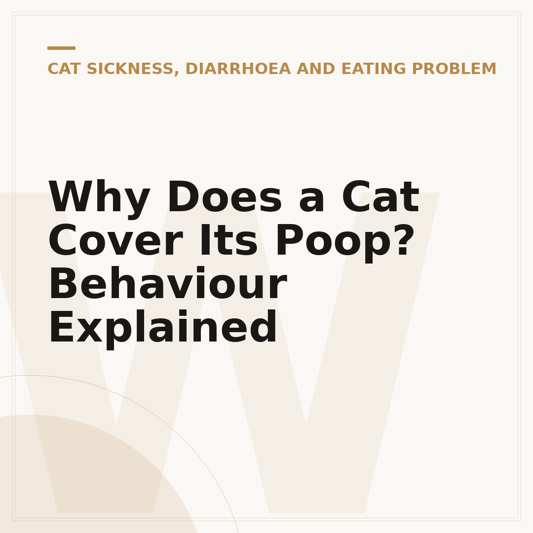 Why Does a Cat Cover Its Poop? Behaviour Explained