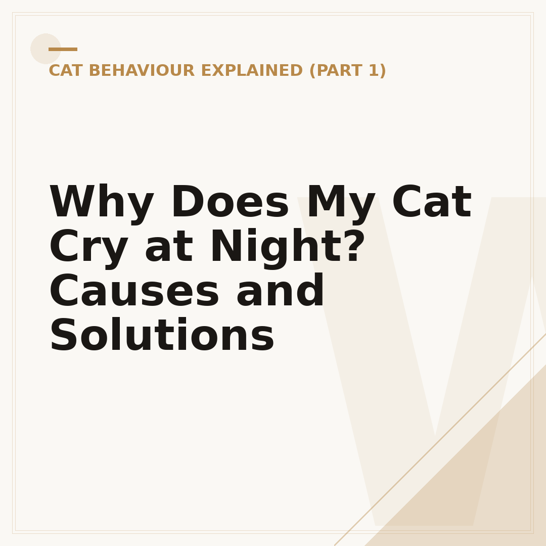 Why Does My Cat Cry at Night? Causes and Solutions