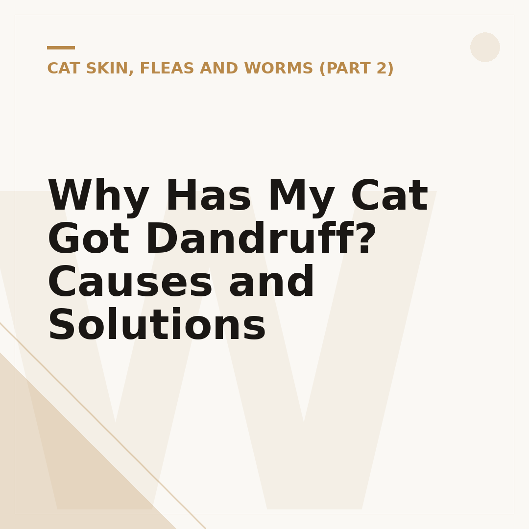 Why Has My Cat Got Dandruff? Causes and Solutions