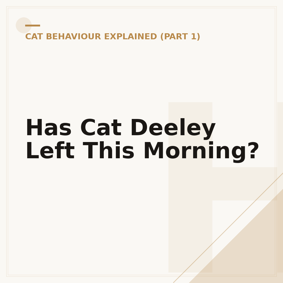 Has Cat Deeley Left This Morning?