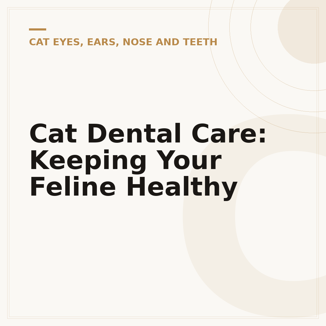 Cat Dental Care: Keeping Your Feline Healthy