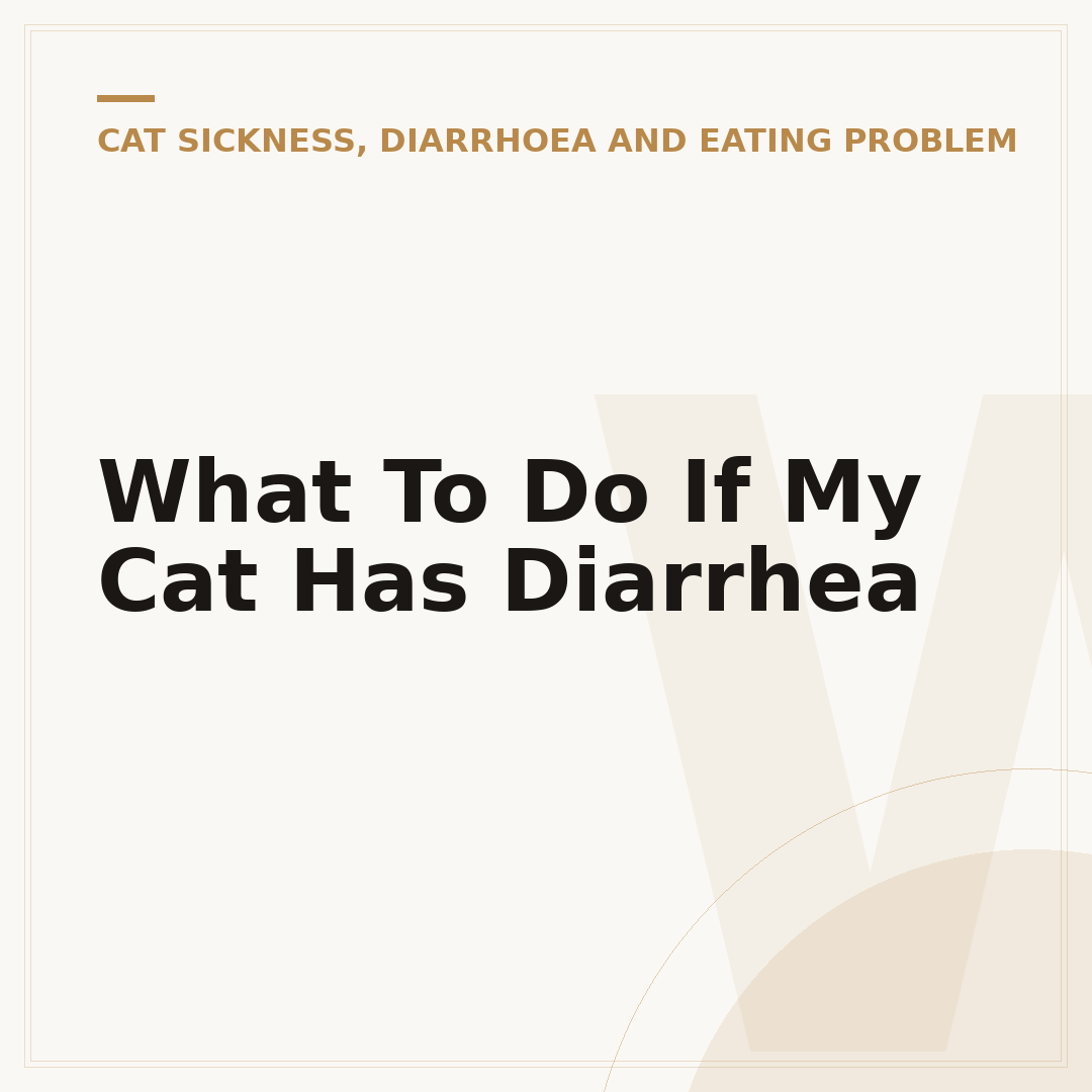 What To Do If My Cat Has Diarrhea