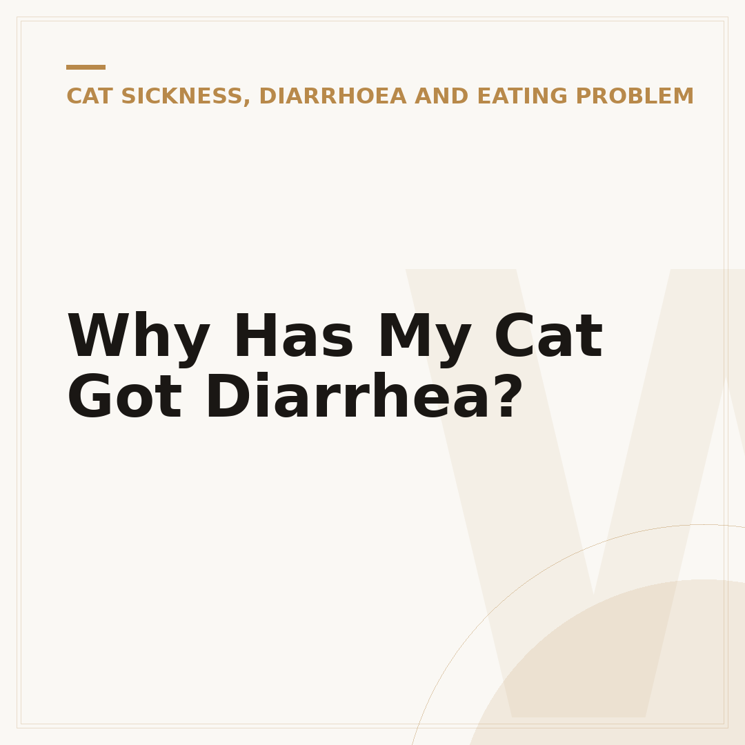 Why Has My Cat Got Diarrhea?
