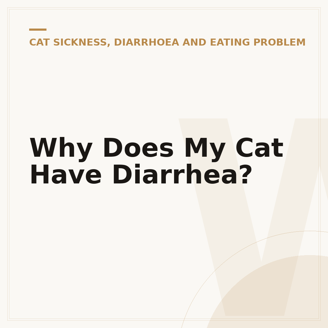 Why Does My Cat Have Diarrhea?