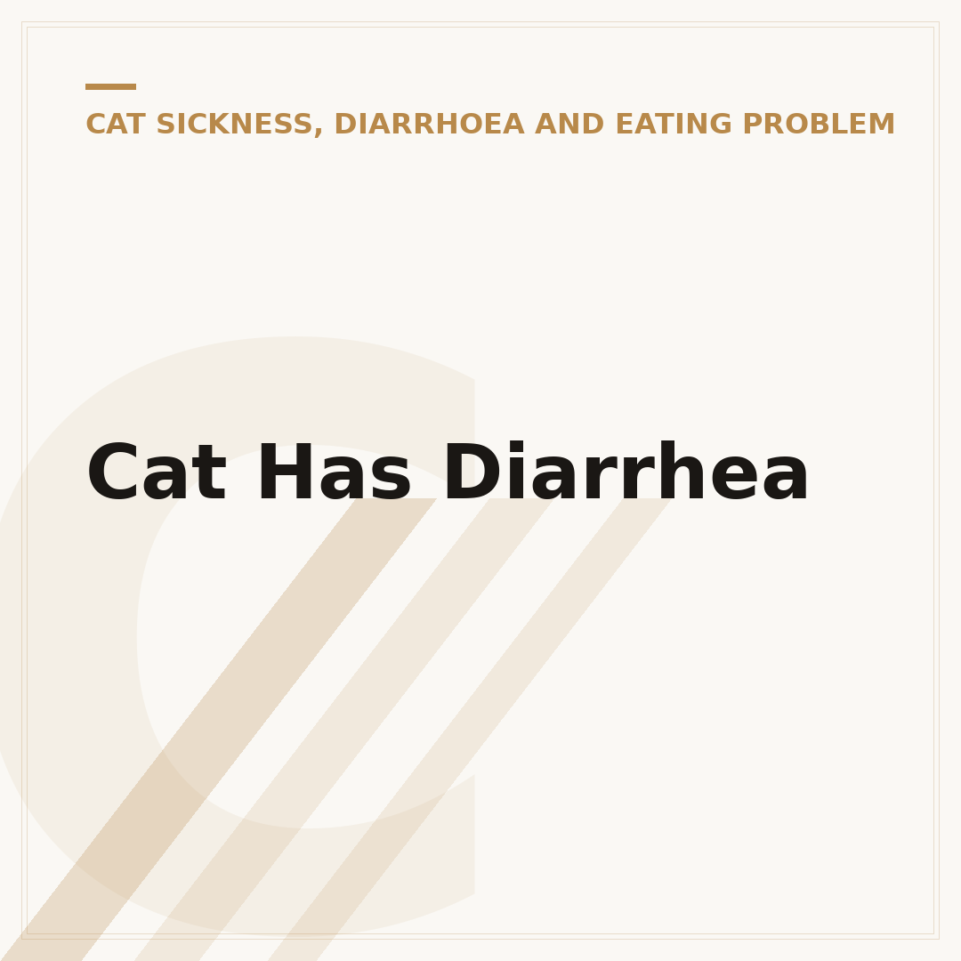 Cat Has Diarrhea