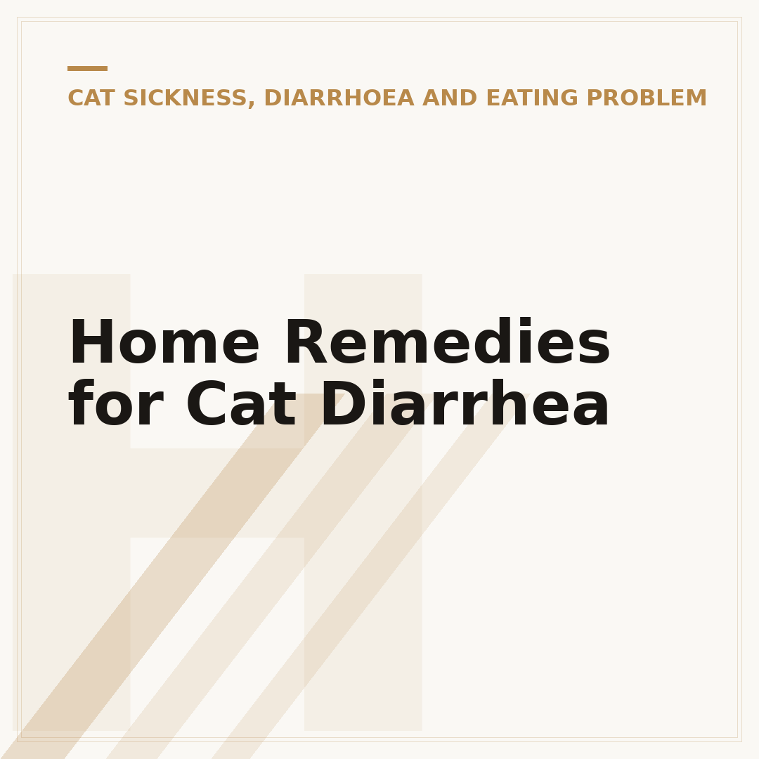 Home Remedies for Cat Diarrhea