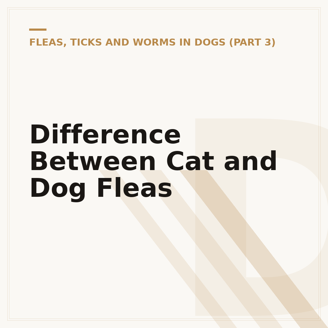 Difference Between Cat and Dog Fleas