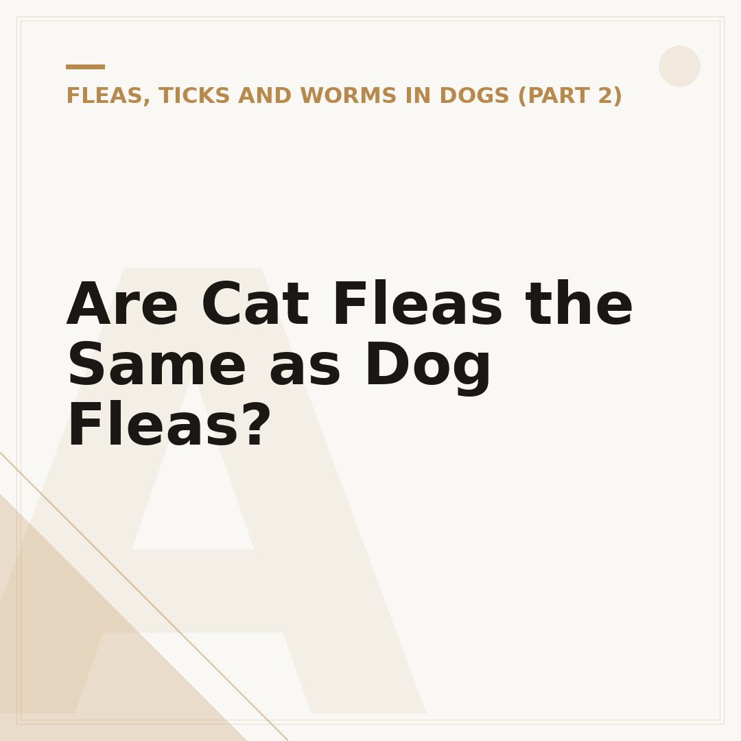 Are Cat Fleas the Same as Dog Fleas?