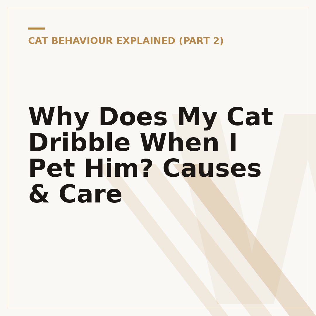 Why Does My Cat Dribble When I Pet Him? Causes & Care