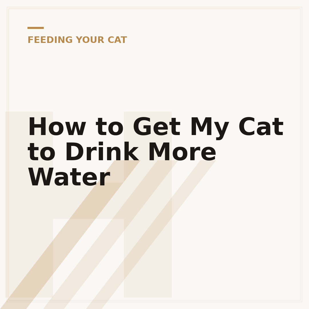 How to Get My Cat to Drink More Water