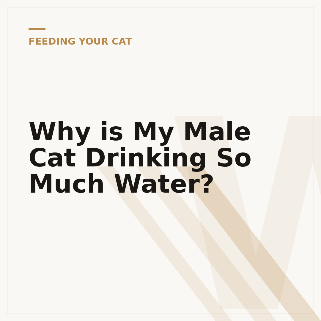 Why is My Male Cat Drinking So Much Water?