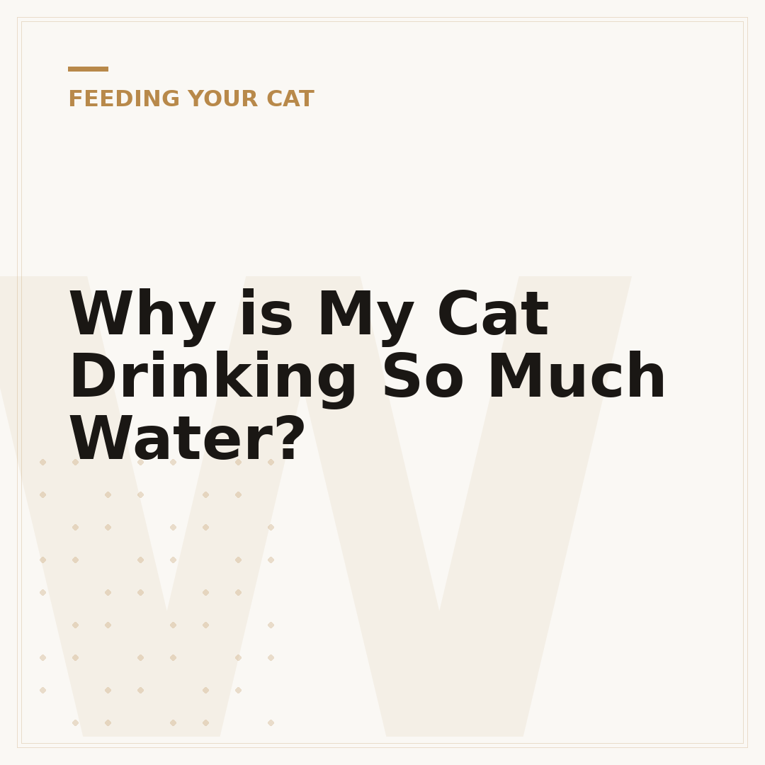 Why is My Cat Drinking So Much Water?