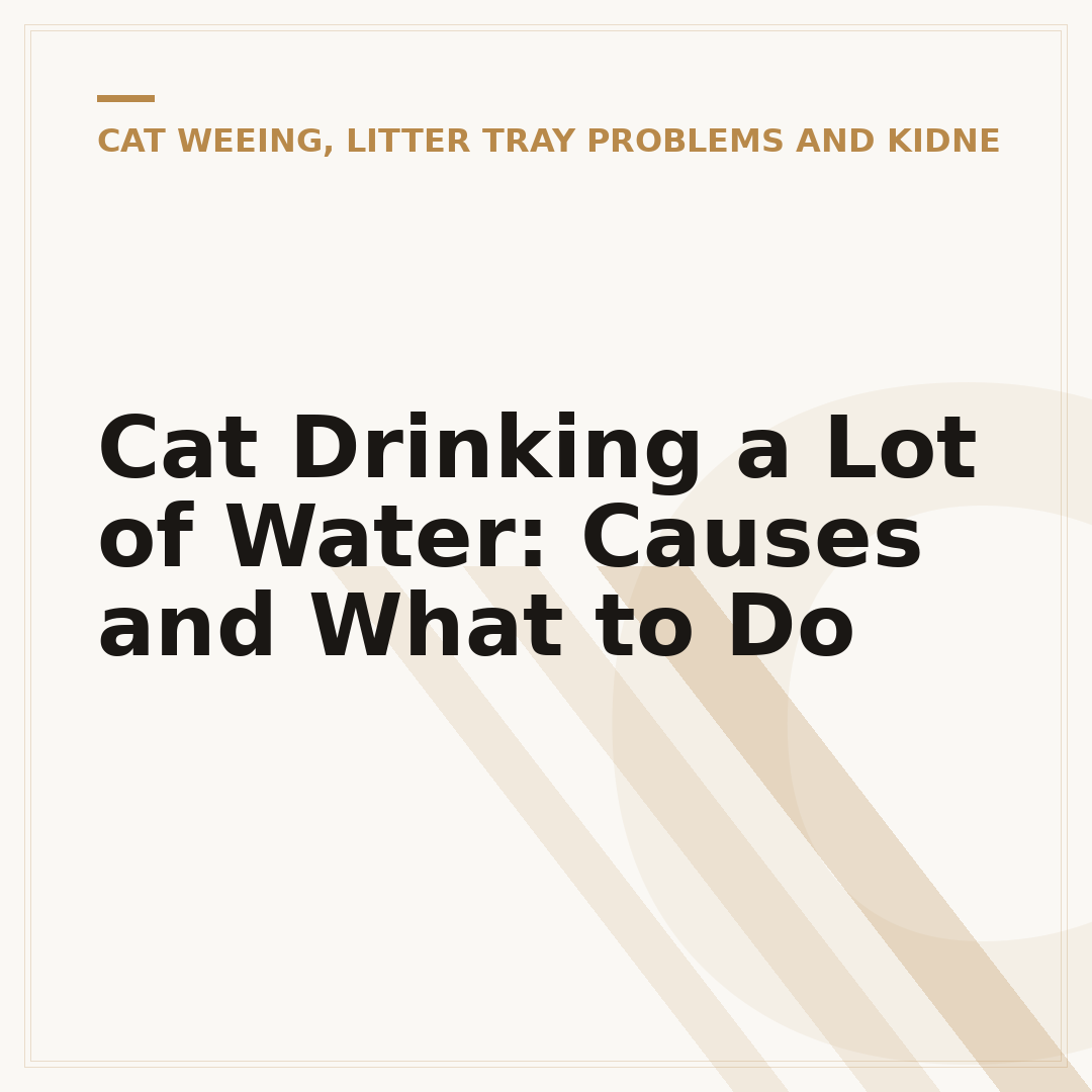 Cat Drinking a Lot of Water: Causes and What to Do