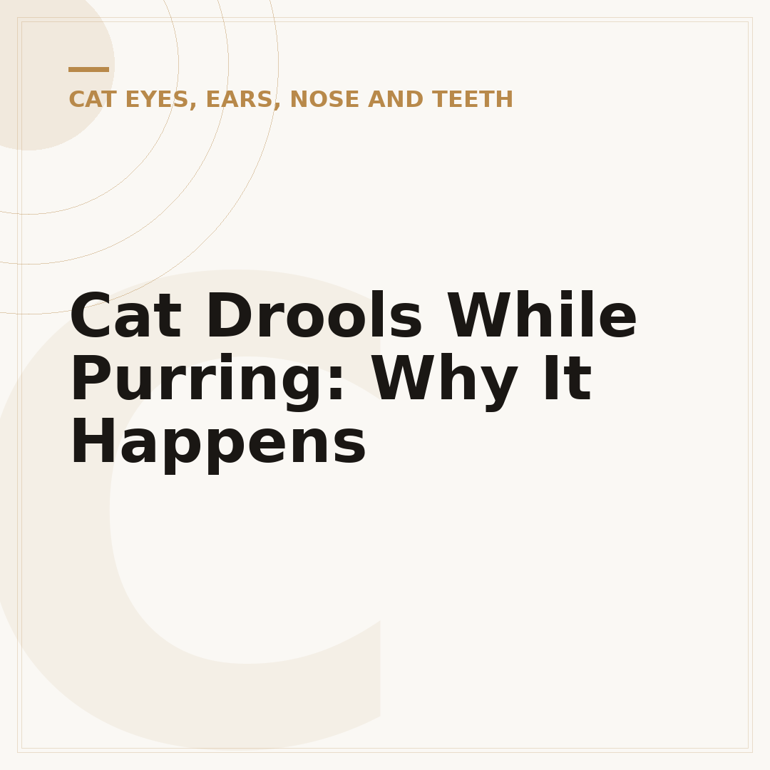 Cat Drools While Purring: Why It Happens