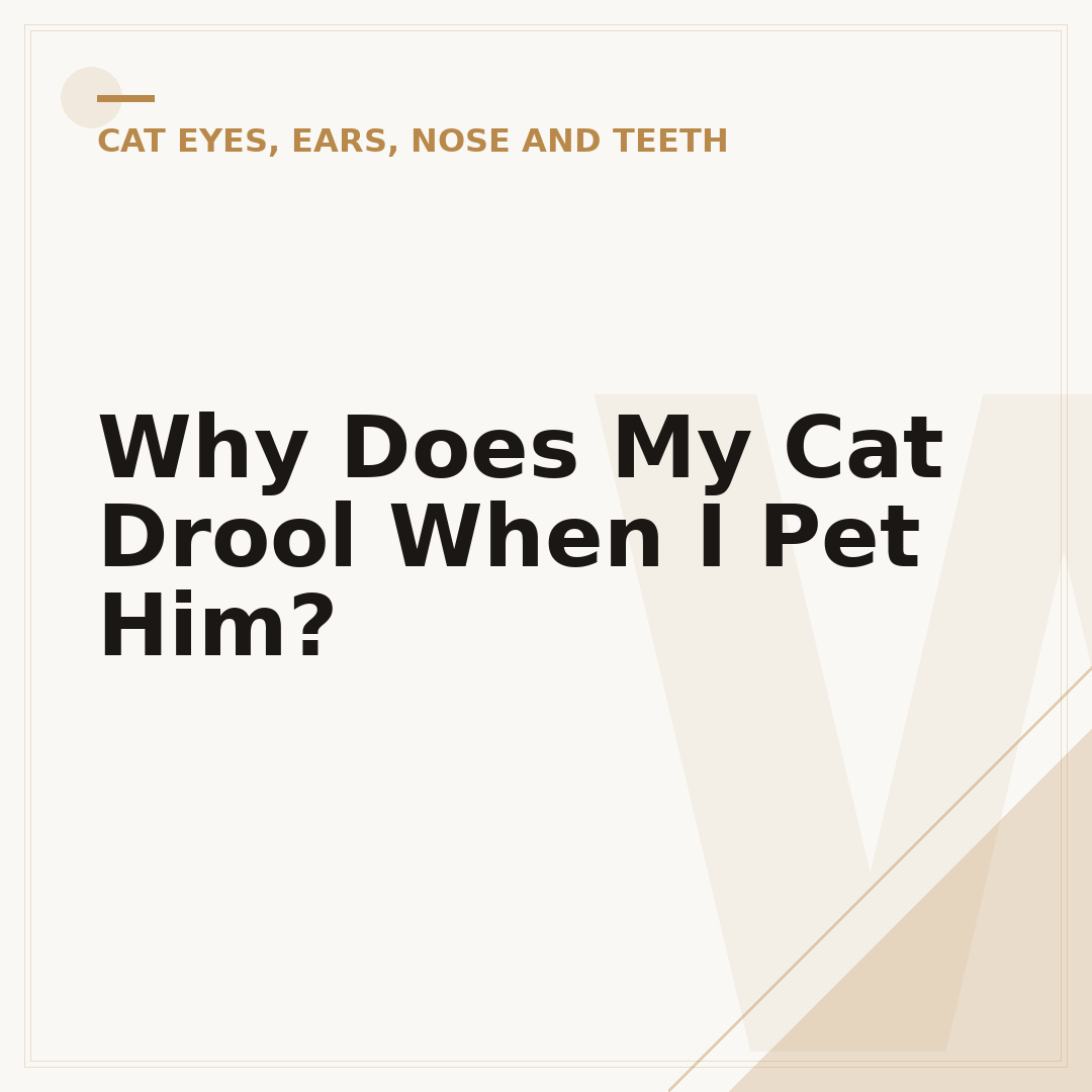 Why Does My Cat Drool When I Pet Him?