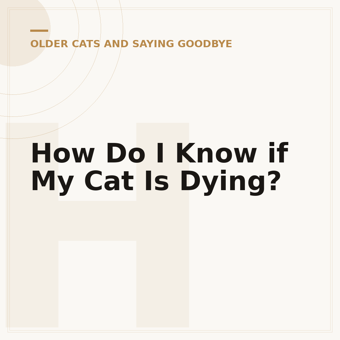 How Do I Know if My Cat Is Dying?