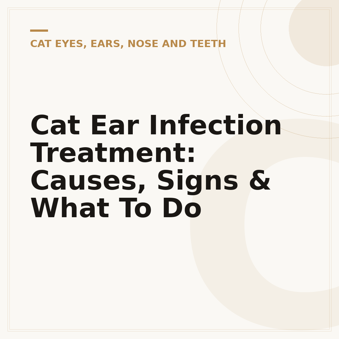 Cat Ear Infection Treatment: Causes, Signs & What To Do