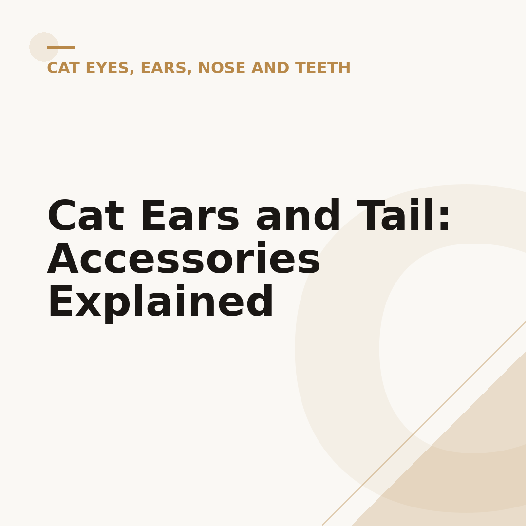 Cat Ears and Tail: Accessories Explained