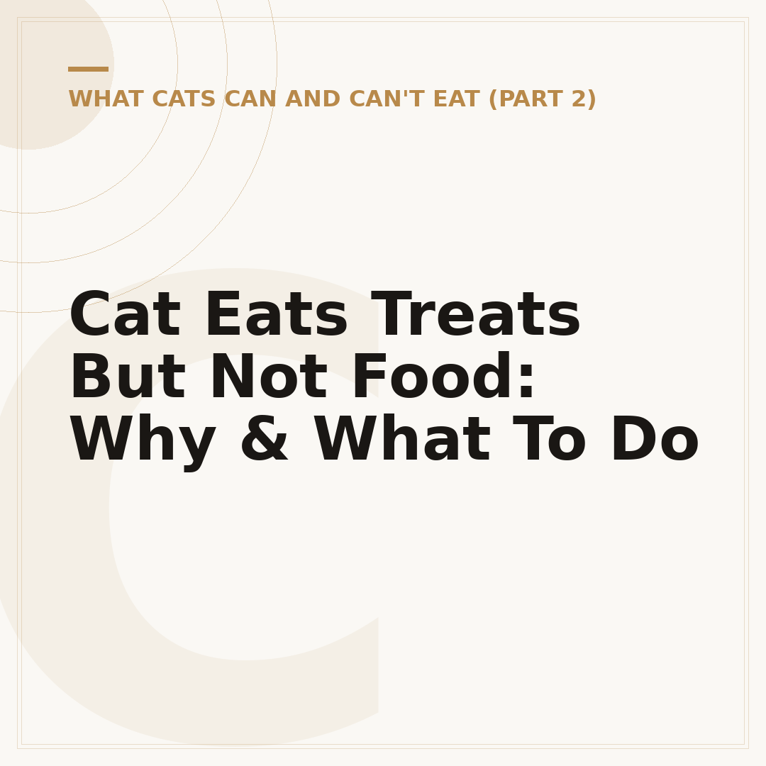 Cat Eats Treats But Not Food: Why & What To Do