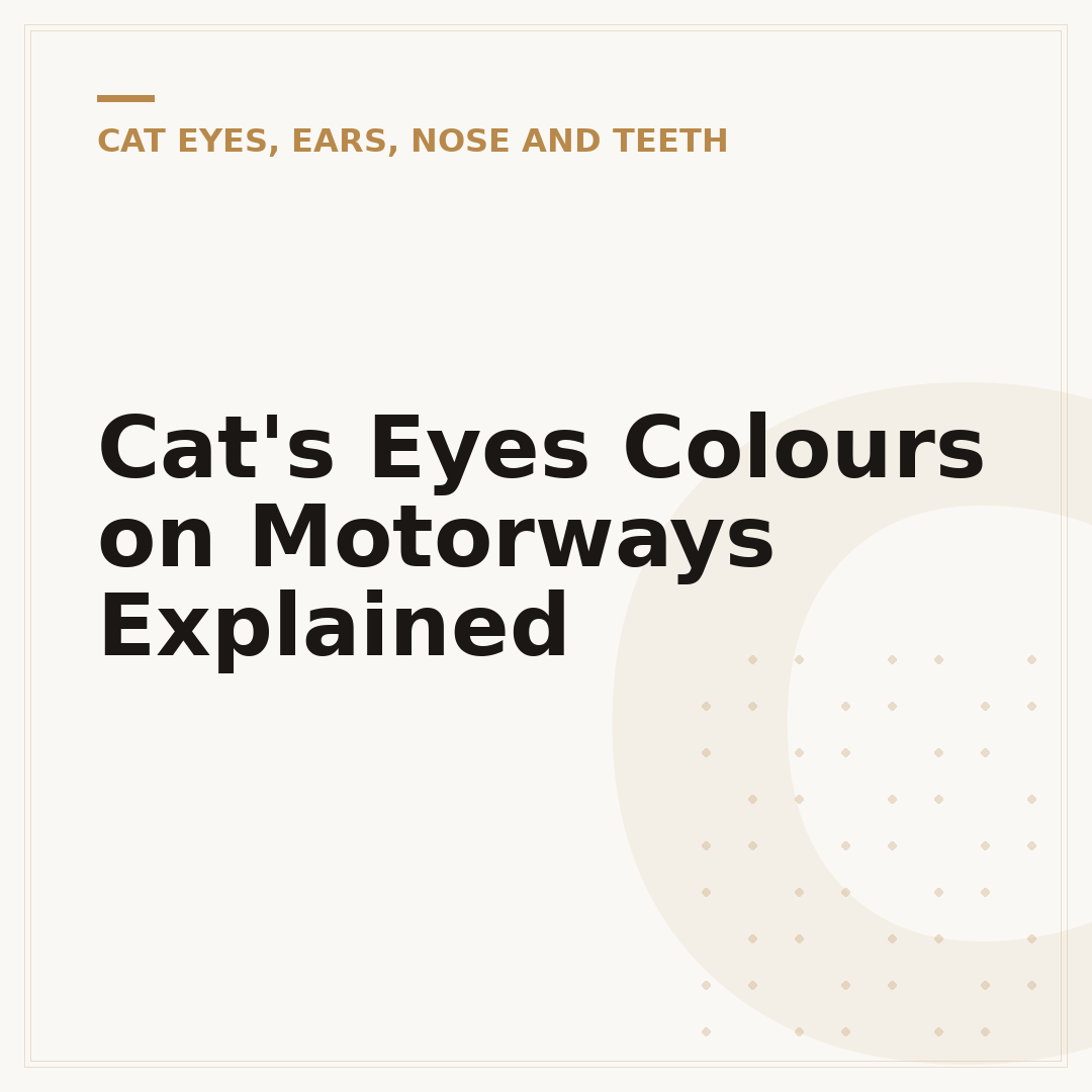 Cat's Eyes Colours on Motorways Explained