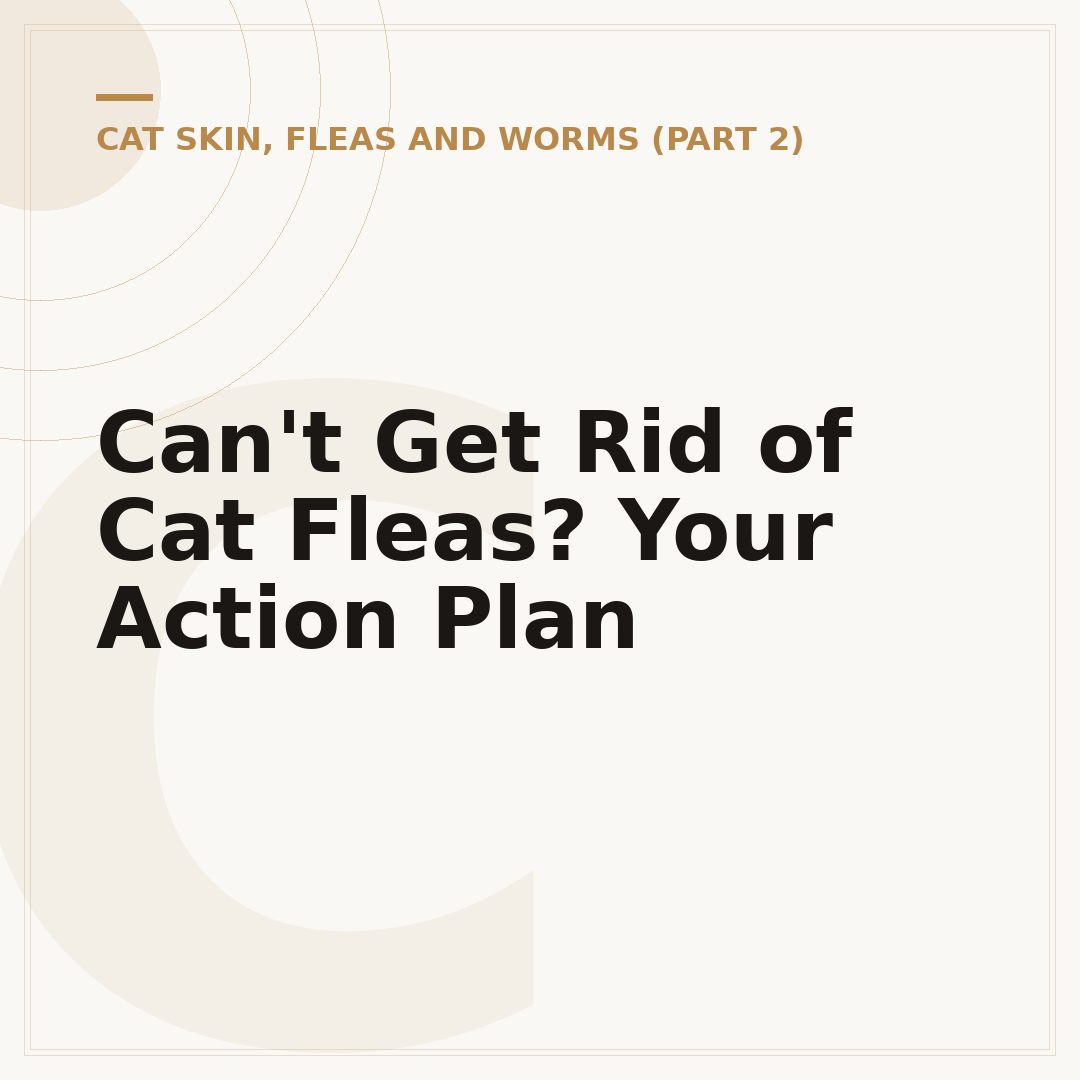 Can't Get Rid of Cat Fleas? Your Action Plan