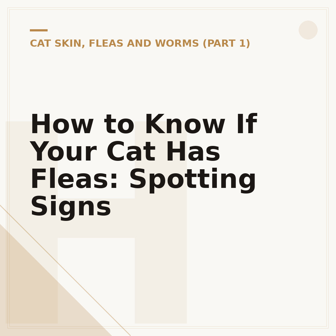 How to Know If Your Cat Has Fleas: Spotting Signs