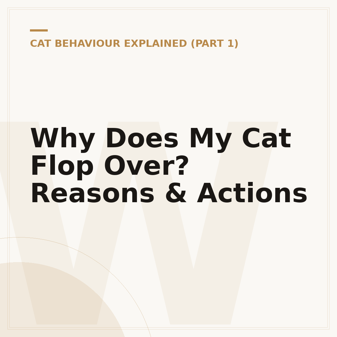 Why Does My Cat Flop Over? Reasons & Actions