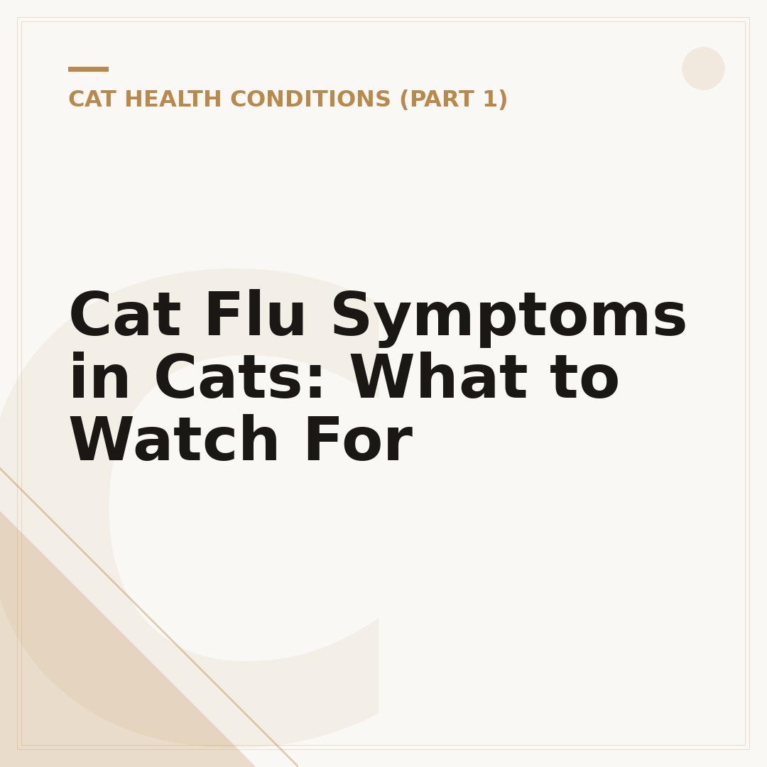 Cat Flu Symptoms in Cats: What to Watch For
