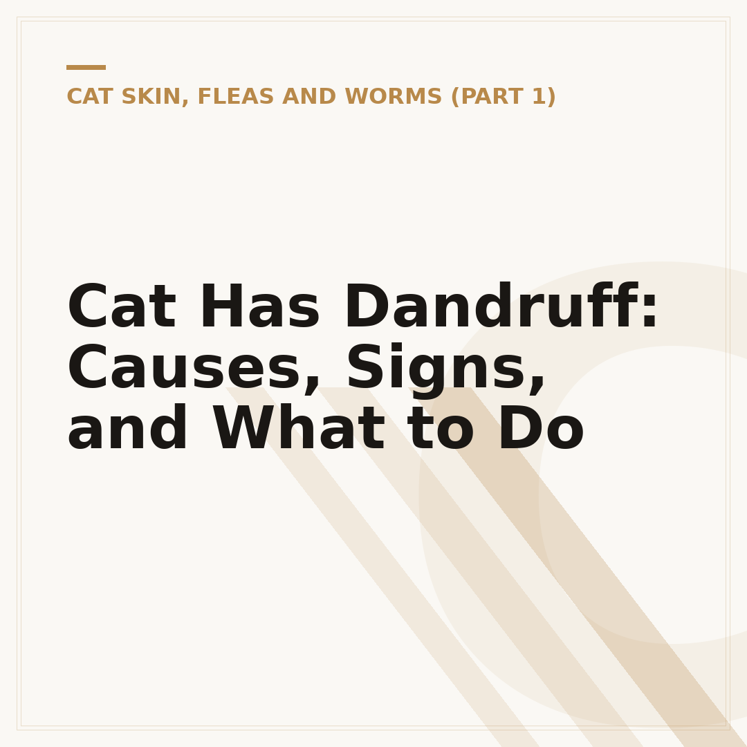 Cat Has Dandruff: Causes, Signs, and What to Do