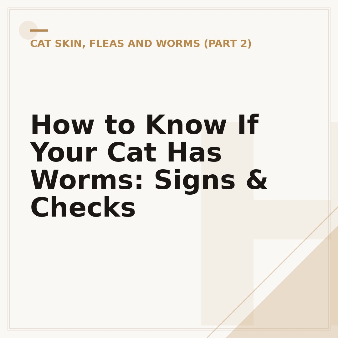 How to Know If Your Cat Has Worms: Signs & Checks