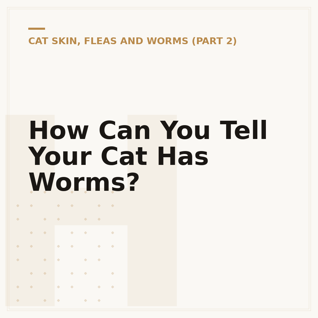 How Can You Tell Your Cat Has Worms?