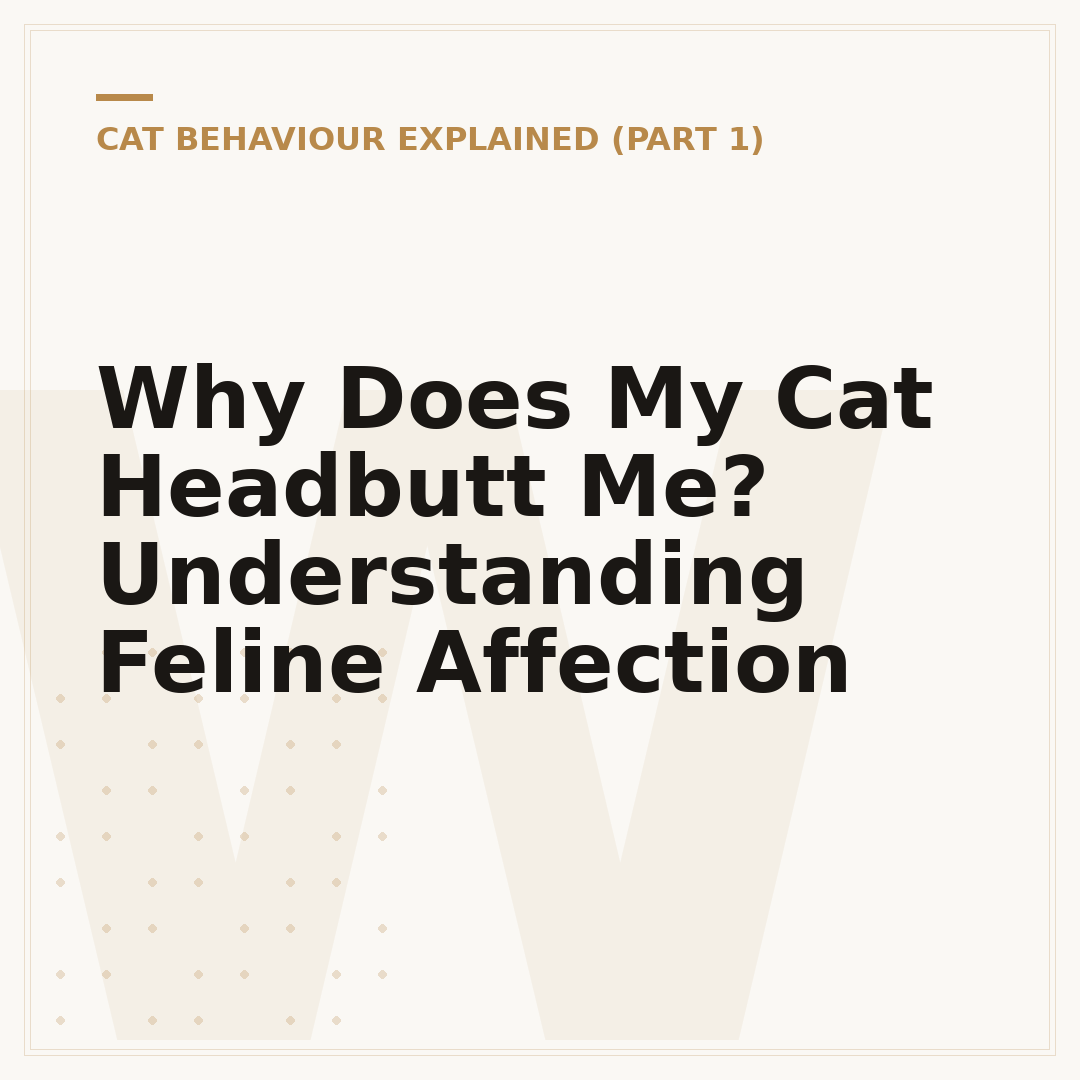 Why Does My Cat Headbutt Me? Understanding Feline Affection