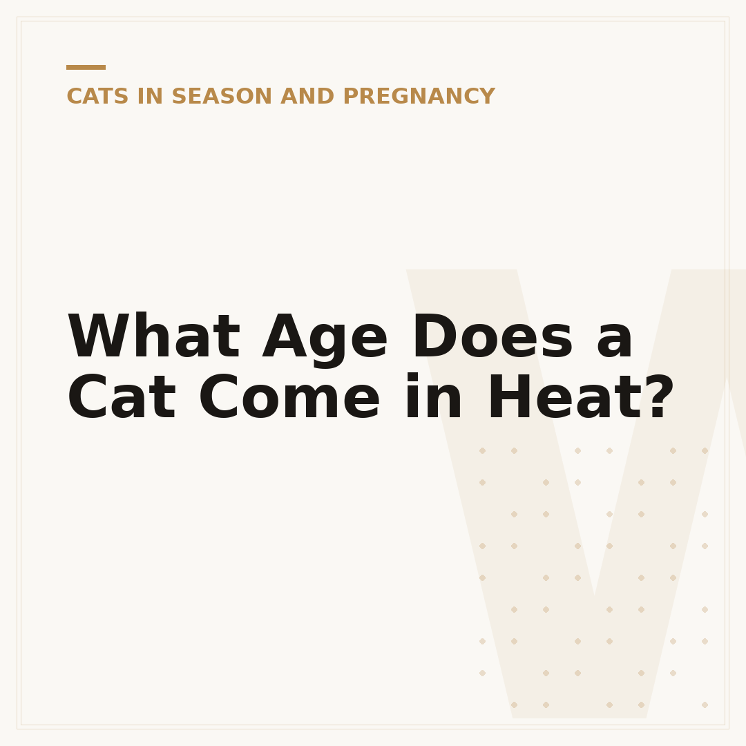 What Age Does a Cat Come in Heat?