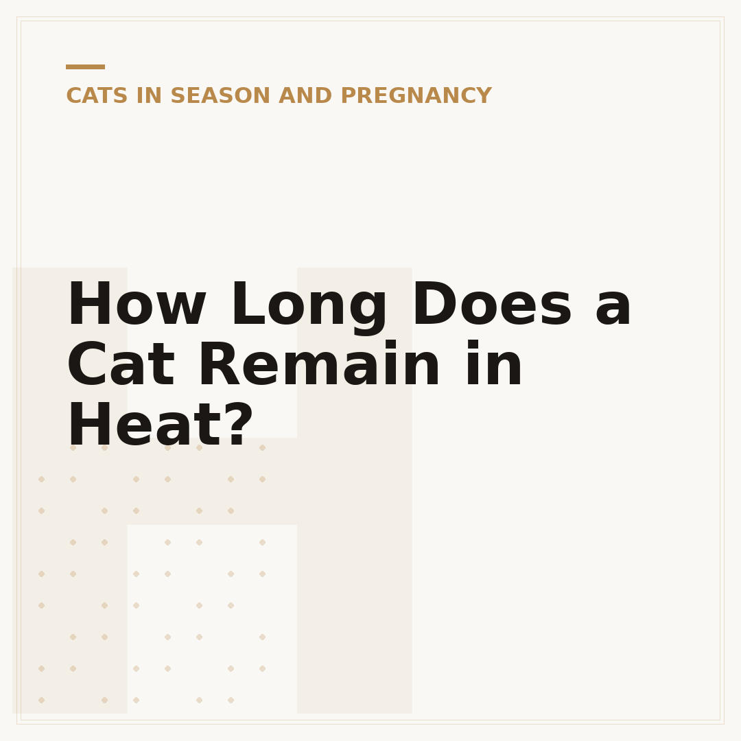 How Long Does a Cat Remain in Heat?