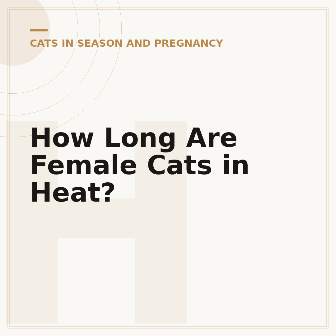 How Long Are Female Cats in Heat?