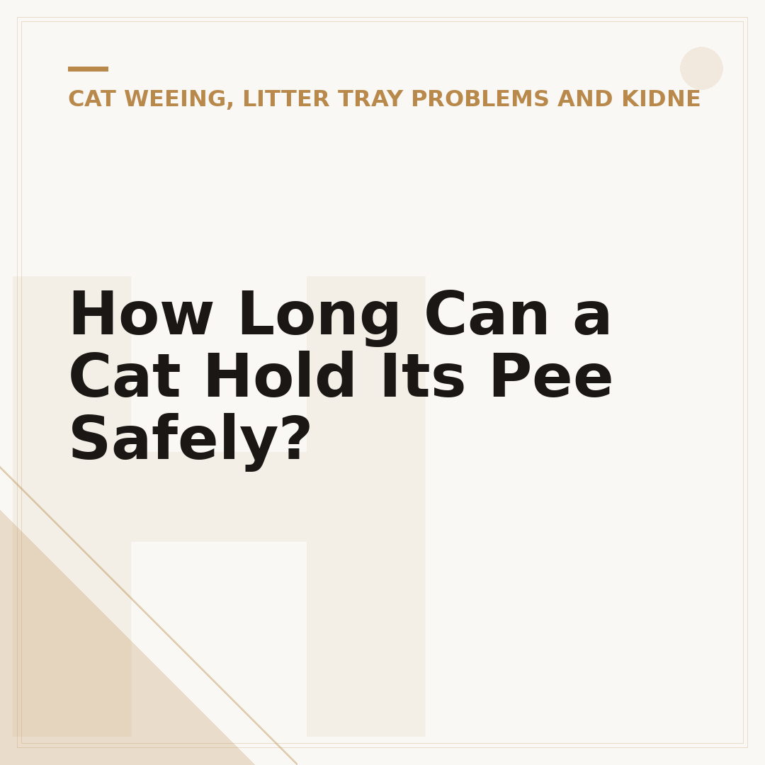How Long Can a Cat Hold Its Pee Safely?